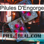 Engorge Pills 15